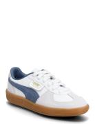 Palermo Lth Jr Blue PUMA