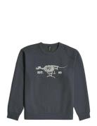 Running Dog Back Gr R Sw Grey G-Star RAW