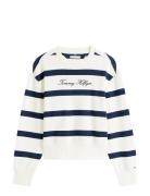 Script Reg Pique Swtshrt White Tommy Hilfiger