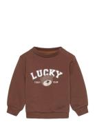 Tnsbperseus Sweatshirt Brown The New