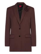 Arosea Brown HUGO