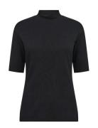 Sc-Mignon Black Soyaconcept