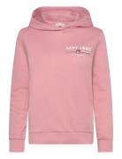 Reg Graphic Hoodie Pink GANT