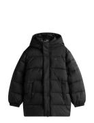 Essential Padded Parka Black Tommy Hilfiger
