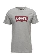 Graphic Setin Neck Graphic H21 Grey Levi's®