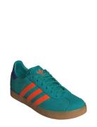 Gazelle J Blue Adidas Originals