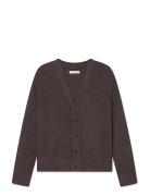 Wwtrue Blue WOOD WOOD