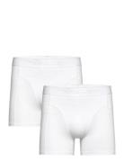 Organic Cotton Stretch Boxer 2P White Björn Borg