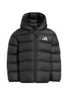 Lk Sd Jkt Black Adidas Sportswear