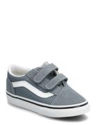 Old Skool V Grey VANS