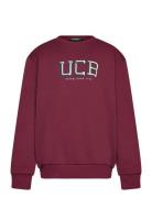 Sweater L/S Burgundy United Colors Of Benetton