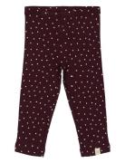 Legging Modal Heart Burgundy Petit Piao