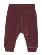 Pants Velour Burgundy Fixoni