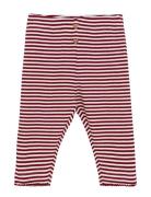 Pants Y/D Rib Red Minymo