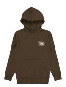 Foundation Po Brown Billabong