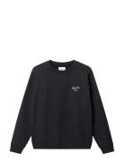 Blue Lacy Crew Black Nikben