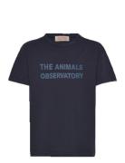 Navy Orion T-Shirt Navy THE ANIMALS OBSERVATORY
