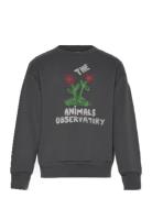 Flowers Dark Frey Bear Sweatshirt Grey THE ANIMALS OBSERVATORY