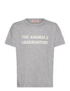 Frey Orion T-Shirt Grey THE ANIMALS OBSERVATORY