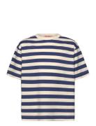 Stripes Navy Collie T-Shirt Navy THE ANIMALS OBSERVATORY