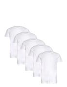 Claudio 5-Pack T-Shirt Cotton White Claudio