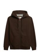 Essential Logo Zip Hoodie Hb Brown Superdry