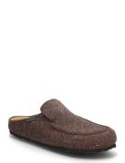 Pedro Tofflor Brown Shepherd