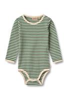 Body L/S Berti Green Wheat