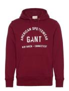 Printed Graphic Hoodie Burgundy GANT