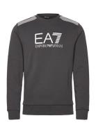 Sweatshirt Grey EA7