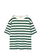 Stripes Freen Collie T-Shirt Green THE ANIMALS OBSERVATORY