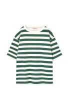 Stripes Freen Collie T-Shirt Green THE ANIMALS OBSERVATORY
