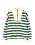 Stripes Freen Blowfly Sweatshirt Green THE ANIMALS OBSERVATORY