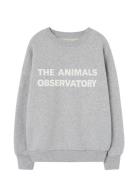 Frey Leo Sweatshirt Grey THE ANIMALS OBSERVATORY