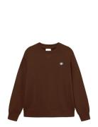 Wwtye Brown WOOD WOOD