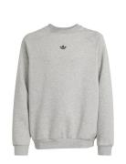 Loose Crew Grey Adidas Originals