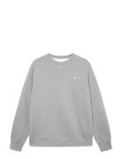 Wwtye Grey WOOD WOOD