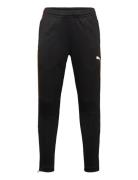 Individualliga Training Pants Jr Black PUMA
