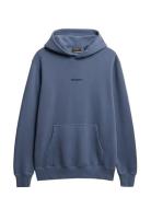 Micro Logo Hood Blue Superdry