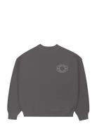 Legacy Knit Sweater Grey Prohibited