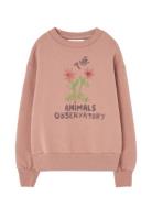 Flowers Dusty  Bear Sweatshirt Pink THE ANIMALS OBSERVATORY