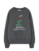 Flowers Dark Frey Bear Sweatshirt Grey THE ANIMALS OBSERVATORY