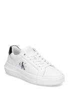 Chunky Cupsole Mono Lth Wn White Calvin Klein