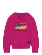 Flag Cotton Crewneck Sweater Pink Ralph Lauren Kids