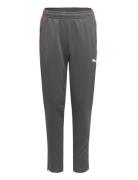 Individualliga Training Pants Jr Grey PUMA