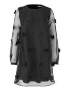 Molli Ls-M Black MbyM