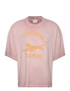 Ss Tee Pink Champion