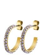 Hosta Sg Lavender Gold Dyrberg/Kern