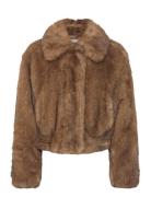 Lena Jacket Brown Stand Studio