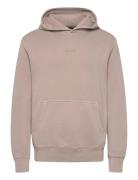 Micro Logo Hood Beige Superdry